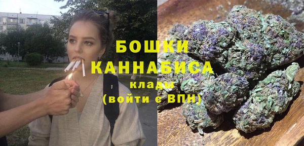 ECSTASY Няндома